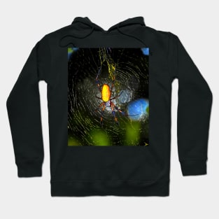 Golden Orb Spider in web Hoodie